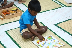 Montessori Children-5